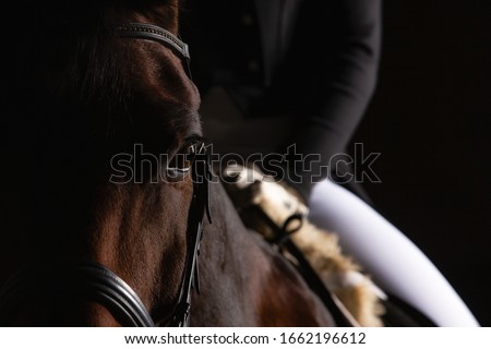 Dressage horse with rider in LowKey technique, close-up of the horse's head in the eye cutout, but you can still see a section of the rider in the focus. Right side still space for text.
