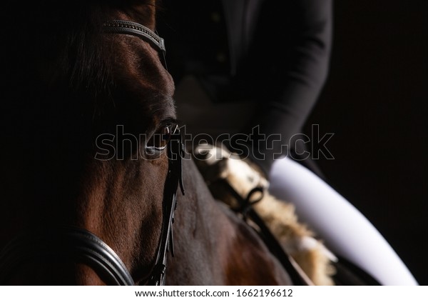 Dressage\
horse with rider in LowKey technique, close-up of the horse\'s head\
in the eye cutout, but you can still see a section of the rider in\
the focus. Right side still space for\
text.\
