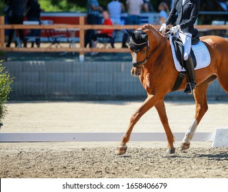 Dressage horse with rider in a dressage test, close-up with space for text. In the background you can see the audience in the blur, dressage horse in a turn over the left shoulder.