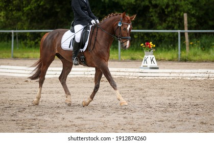 Dressage horse in a dressage test with rider in "strong trot" on the diagonal.