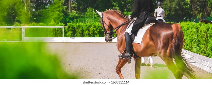 Dressage Horses And Riders In Uniform. Horizontal Banner For Website Header Design. Equestrian Sport Competition, Copy Space.