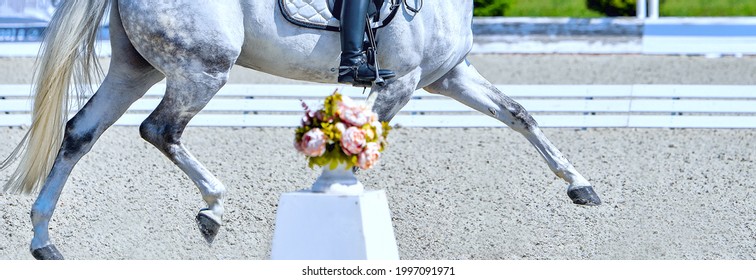 Dressage horses and riders in uniform. Horizontal banner for website header design. Equestrian sport competition, copy space.