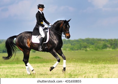 Dressage rider on bay horse galloping in field