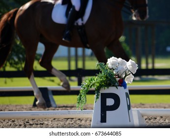 Dressage Ringside Detail