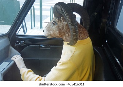 Dressed Stuffed Animal With Human Hand Sitting In A Car