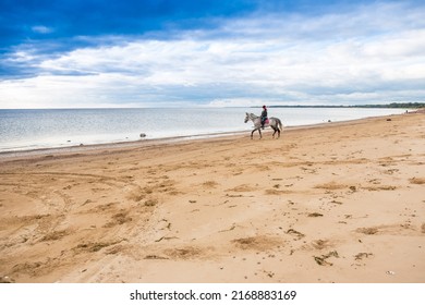 Dressing Jeans, Jacket And Fall Hat Female Horseback Rider Hacks A Dappled Horse Along Waterside