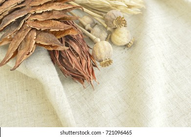 dried