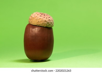 Dried Acorn And Cap On Isolated Green Background With Selective Focus. Nature, Rebirth, Renewal Concept.