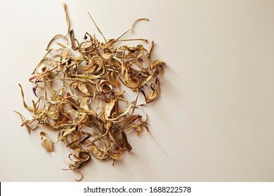 Dried Artichoke Plant On White Background