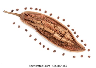 Dried baobab fruit and seed isolated on white background.