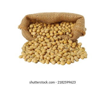 Dried Beans, Soybeans In Sack And With Spilled Out, Soybean Can Be Used To Produce Many Forms Of Food Such As Milk, Oil, Etc, Isolated On White Background.