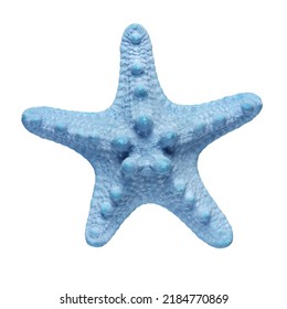 Dried Blue Sea Star Starfish Isolated On White Background.