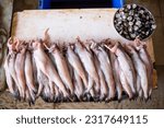 Dried bombay duck lying on table near plate of breezy and slimy clams. Bunches of fish with dark tail sold in market on Goa in india. Small elongated fish of southern Asian coast for implementation. 