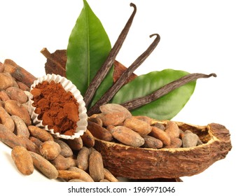 Dried Cacao Fruit With Vanilla. Isolated On White Background.