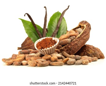 Dried Cacao Fruit With Vanilla On White Background