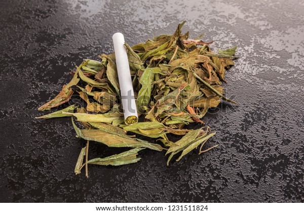 Dried Calea Zacatechichi Leaves Rolled Cigarette Nature