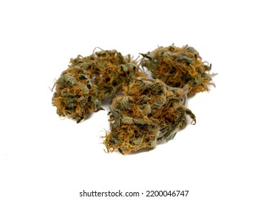 Dried Cannabis Flower Isolated On White Background