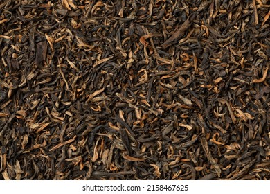 Dried Chinese Yunnan Mao Feng tea leaves close up full frame as background