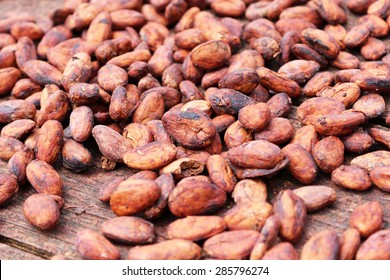 Dried Cocoa Beans In Grenada
