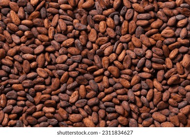 Dried Cocoa beans texture background. 