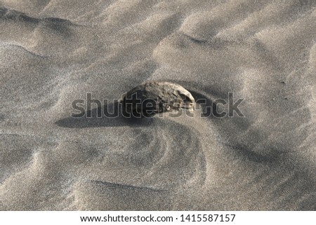 Similar – Zurück ins Wasser Strand