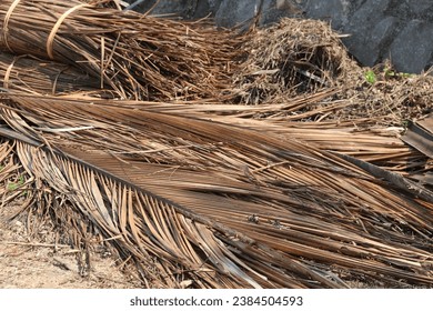Dried coconut leaves piled up around the sea shore