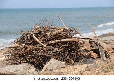 Dried coconut leaves piled up around the sea shore