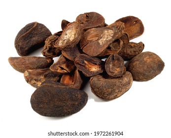 Dried Cola Nut On White Background, Isolated.