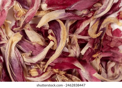 Dried colorful pink tulip petals top view. Old organic fragile flower leafs being used for scents in perfume fragrances or potpourri. Macro close up detail shot, selective focus  - Powered by Shutterstock