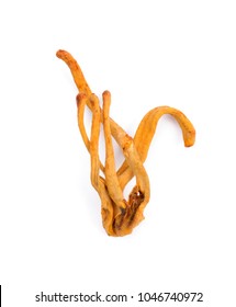 Dried Cordyceps Mushroom On White Background