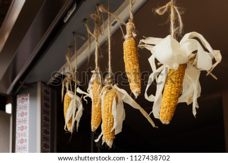 dried corn decor