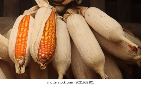 Dried Corn Fruit That Is Hung To Last Longer