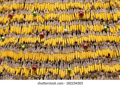 Dried corn hanging.