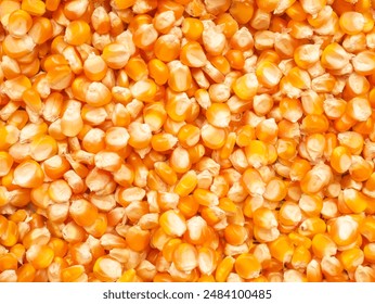 Dried corn kernels. A collection of corn kernels that are being dried in the sun before consumption. - Powered by Shutterstock