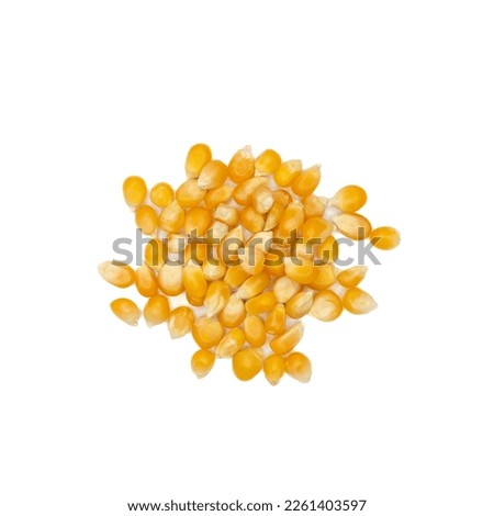 Dried corn kernels isolated on white background. Top view, flat lay.