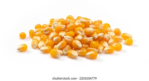 Dried corn kernels placed on white background. Corn for popcorn.