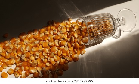 Dried Corn Kernels Removed From The Corn Cob