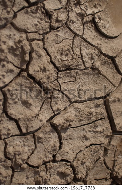 Dried Cracked Clay Earth In
Drought