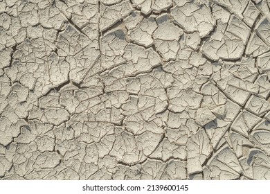 Dried Cracked Gray Silt Soil, Textured.