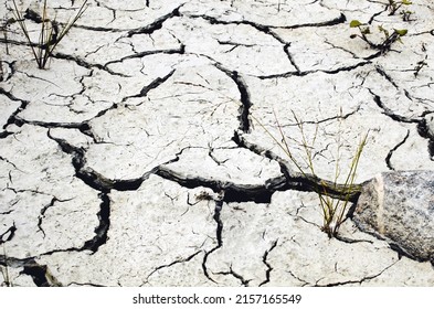 Dried Cracked Gray Silt Soil With Grass.