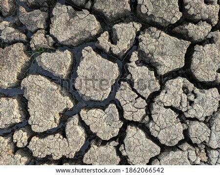Dried cracked lake bottom background texture global warming