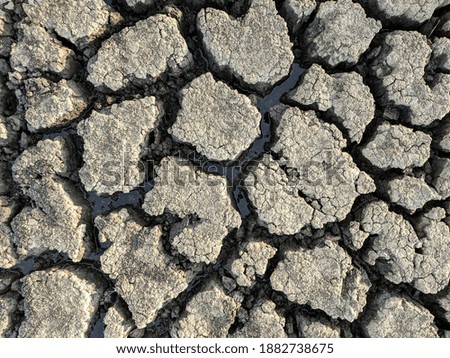 Dried cracked lake bottom background texture global warming