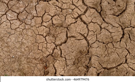 Dried Cracked Mud Texture