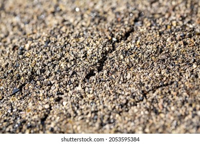 Dried Cracked Or Rich Earth Soil Ground Texture Background. Crack Pattern Of Sunny Rich Earth Soil And Copy Space.