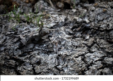 Dried cracked soil ground texture background. - Shutterstock ID 1732199689