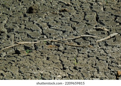 Dried Up Creek Bed During Drought