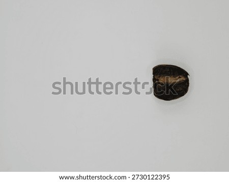 Dried date with partially exposed pit highlighting anatomy and natural fruit structure.
