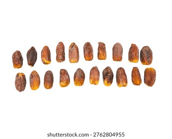 Dried dates arranged in rows on Transparent background
