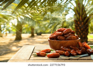 Dried dates fruits with dates palm plantation background.