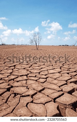                          A dried, dead tree with cracked brown soil surrounding it, fragmented due to severe drought. This image is used for articles discussing drought, water scarcity, climate chang